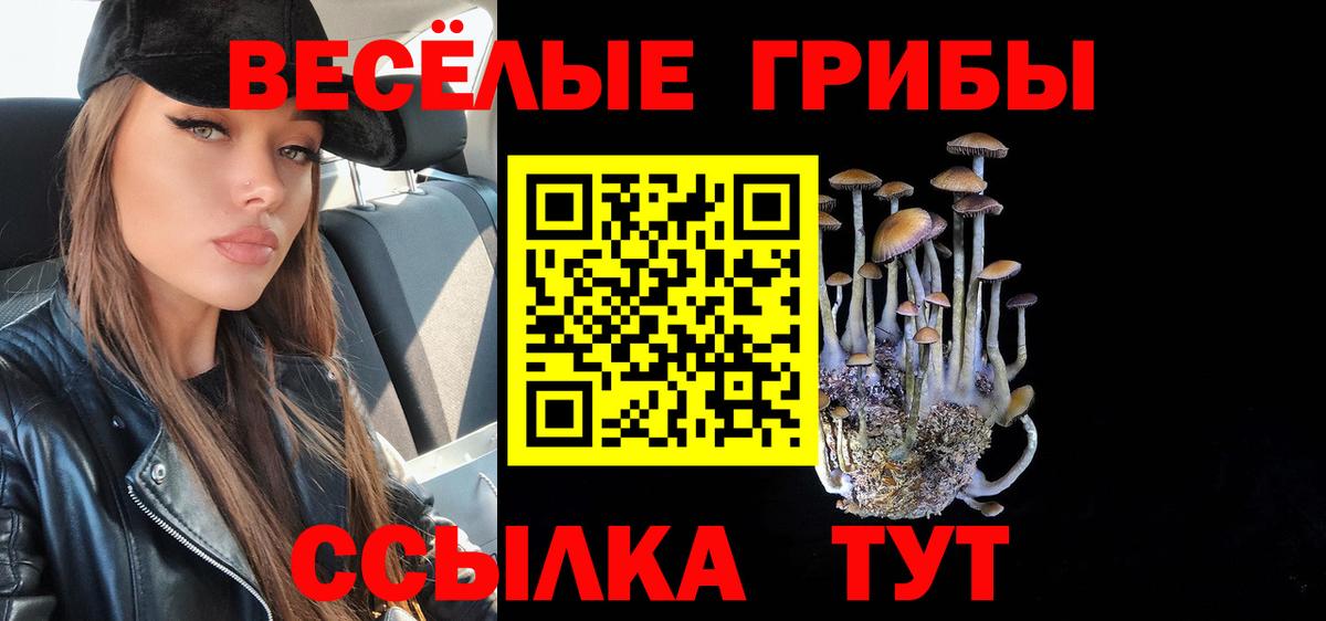 даркнет сайт  Вход с VPN  Галлюциногенные грибы Cubensis  Волжск  Псилоцибиновые грибы Magic Shrooms 